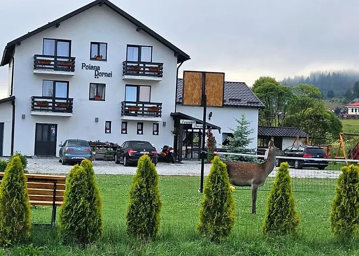 Pensiunea Poiana DorneiPensiune
